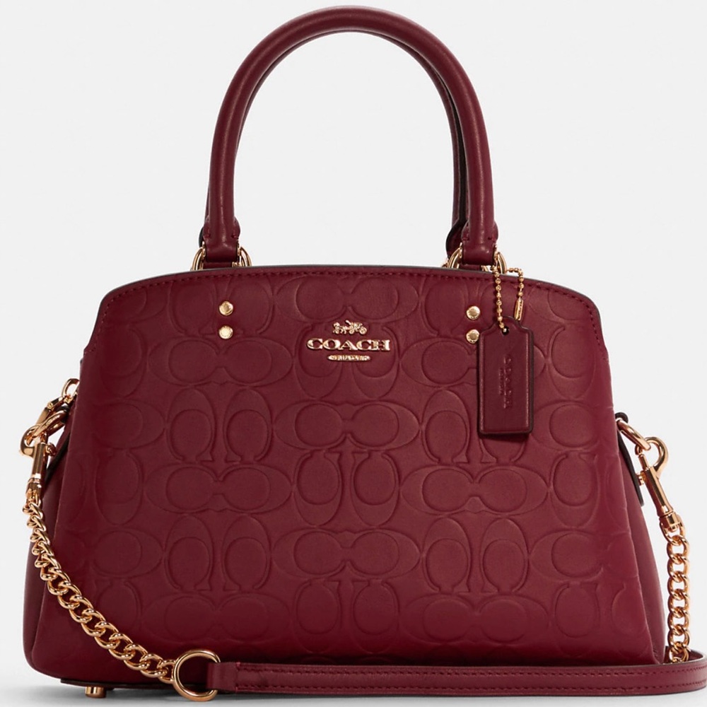 NWT Coach Minnie carryall